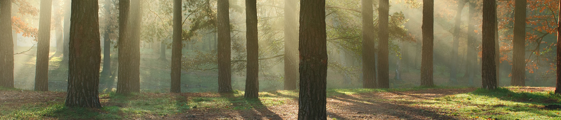 How AceGreen is Redefining Textile Sustainability: From Material Innovation to Circularity